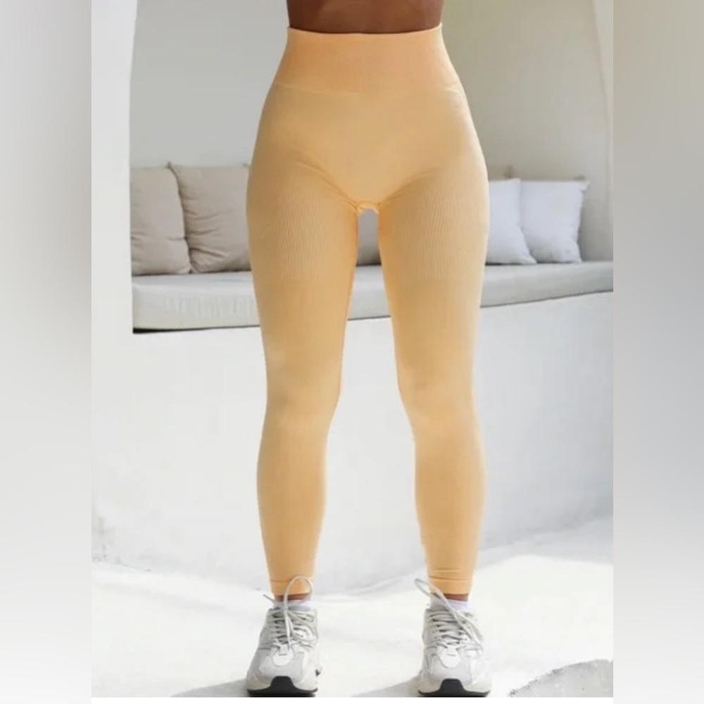 Lazuli Seamless Ribbed Contour Leggings Sculpt